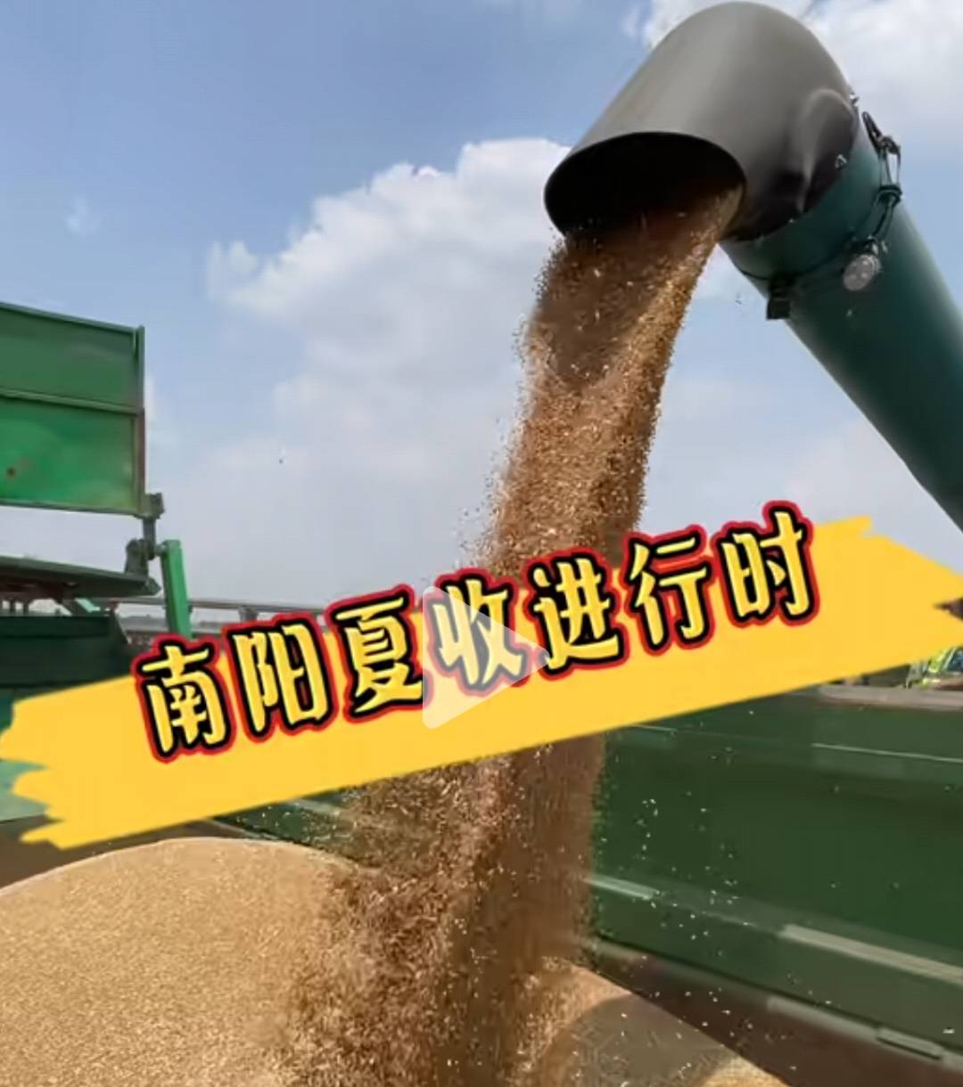 央媒聚焦下，南阳农民为“中国粮仓”的坚守与担当