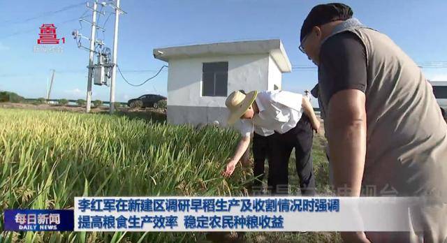 省会城市市委书记，走进田间地头，与农民交流