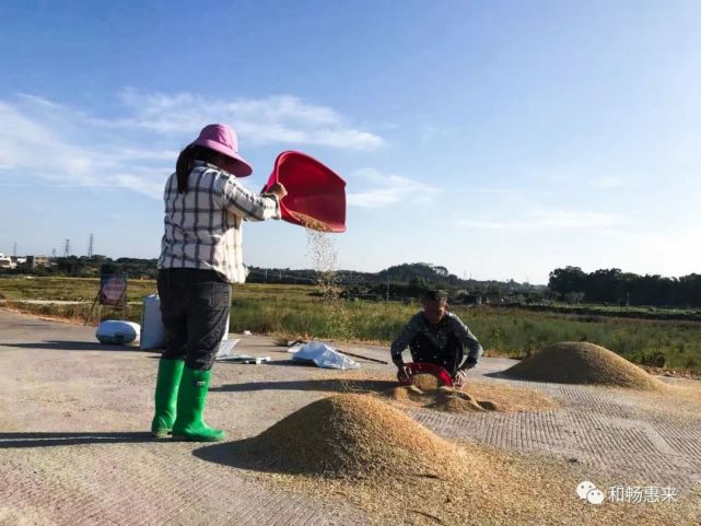 信丰盈贵金属(丰盈德信置业有限公司)