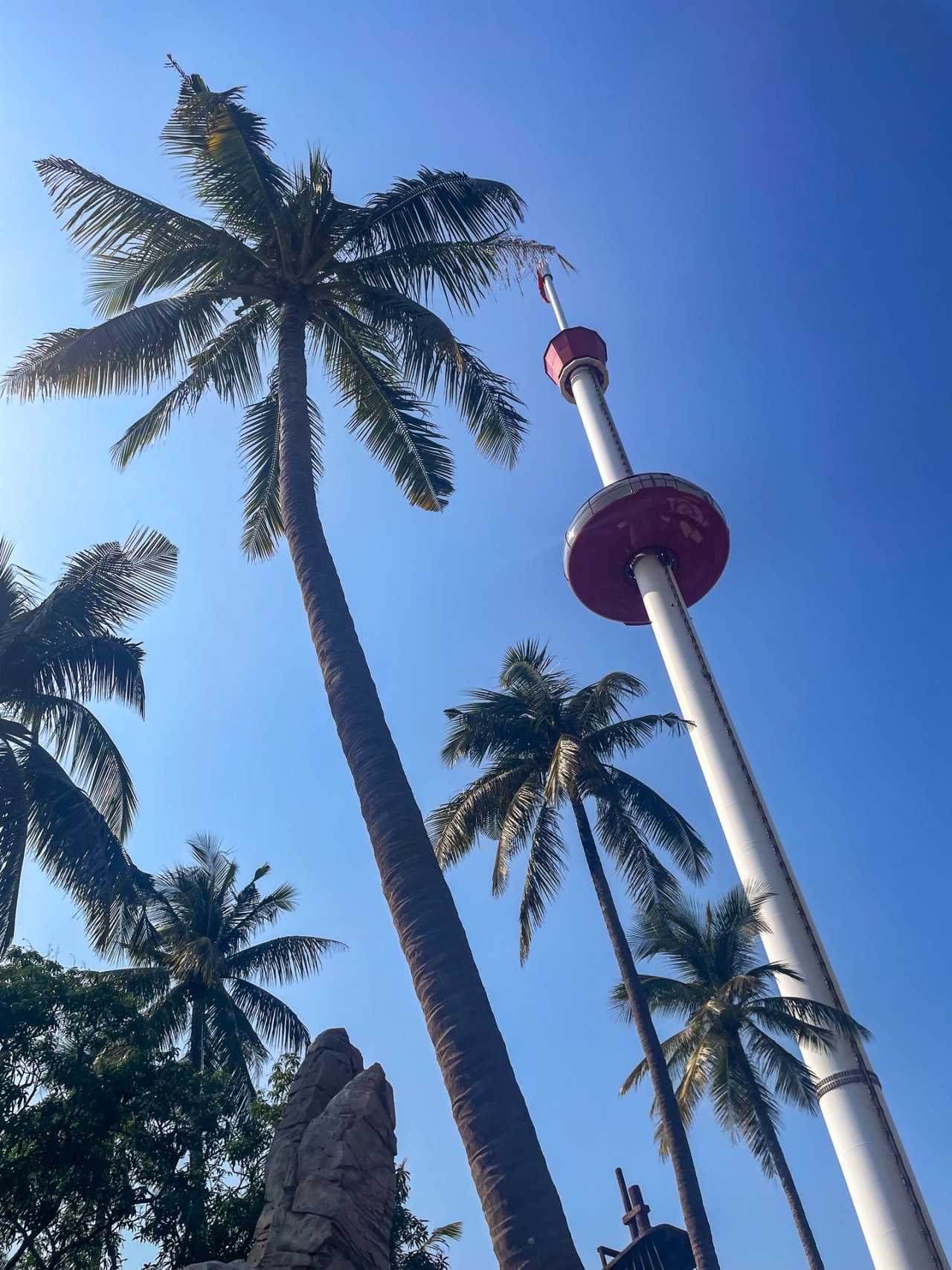 鱿鱼币(鱿鱼币价格今日行情走势图)